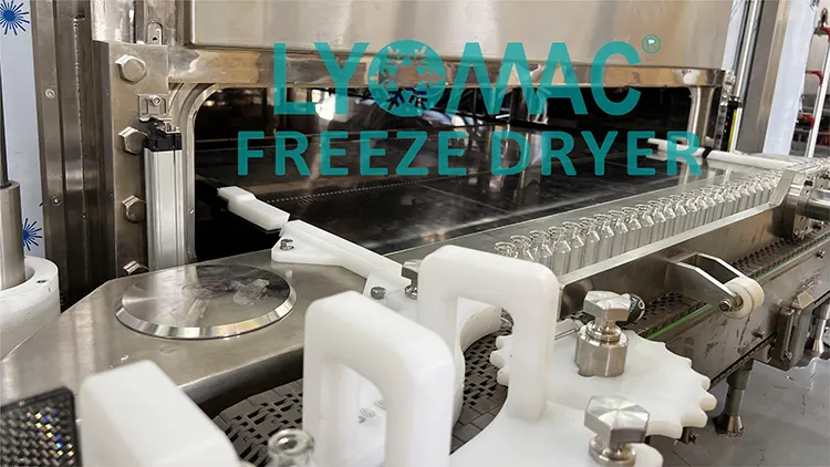 Przyszłość liofilizacji: jak automatyzacja Lyomac zwiększa wydajność przemysłu farmaceutycznego